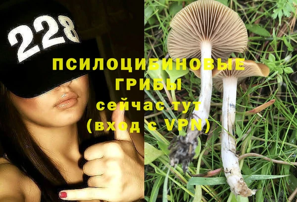 прущие крисы Абинск