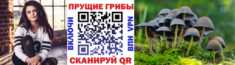 Псилоцибиновые грибы мухоморы  купить закладку  гидра сайт  Лесозаводск 